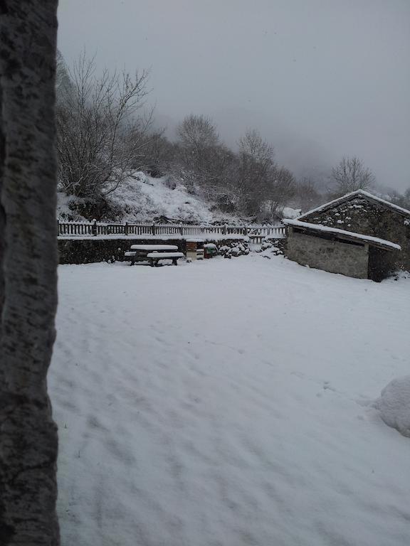 Venta La Aurora Villa Beleño Rom bilde